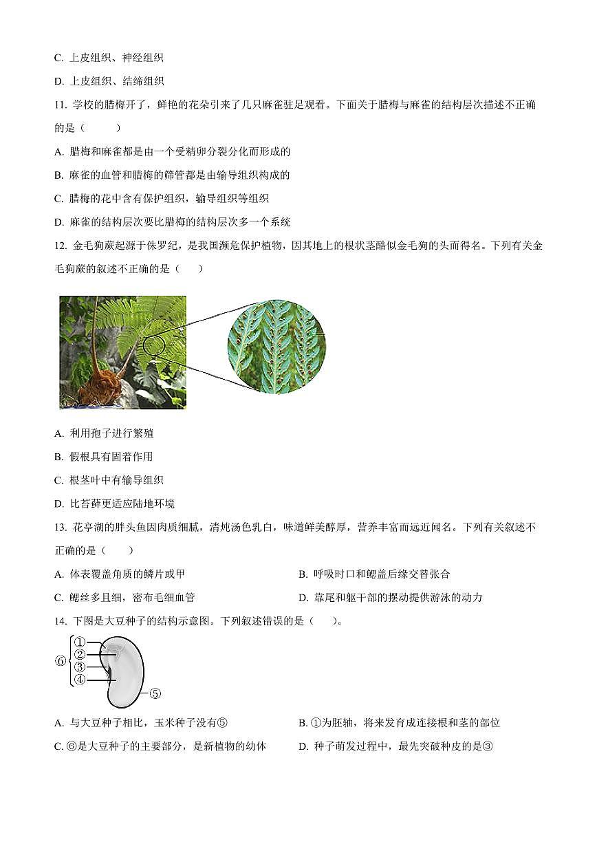 安徽省安庆市太湖县2025-2026学年七年级上学期期末生物学试题（原卷+解析）第3页