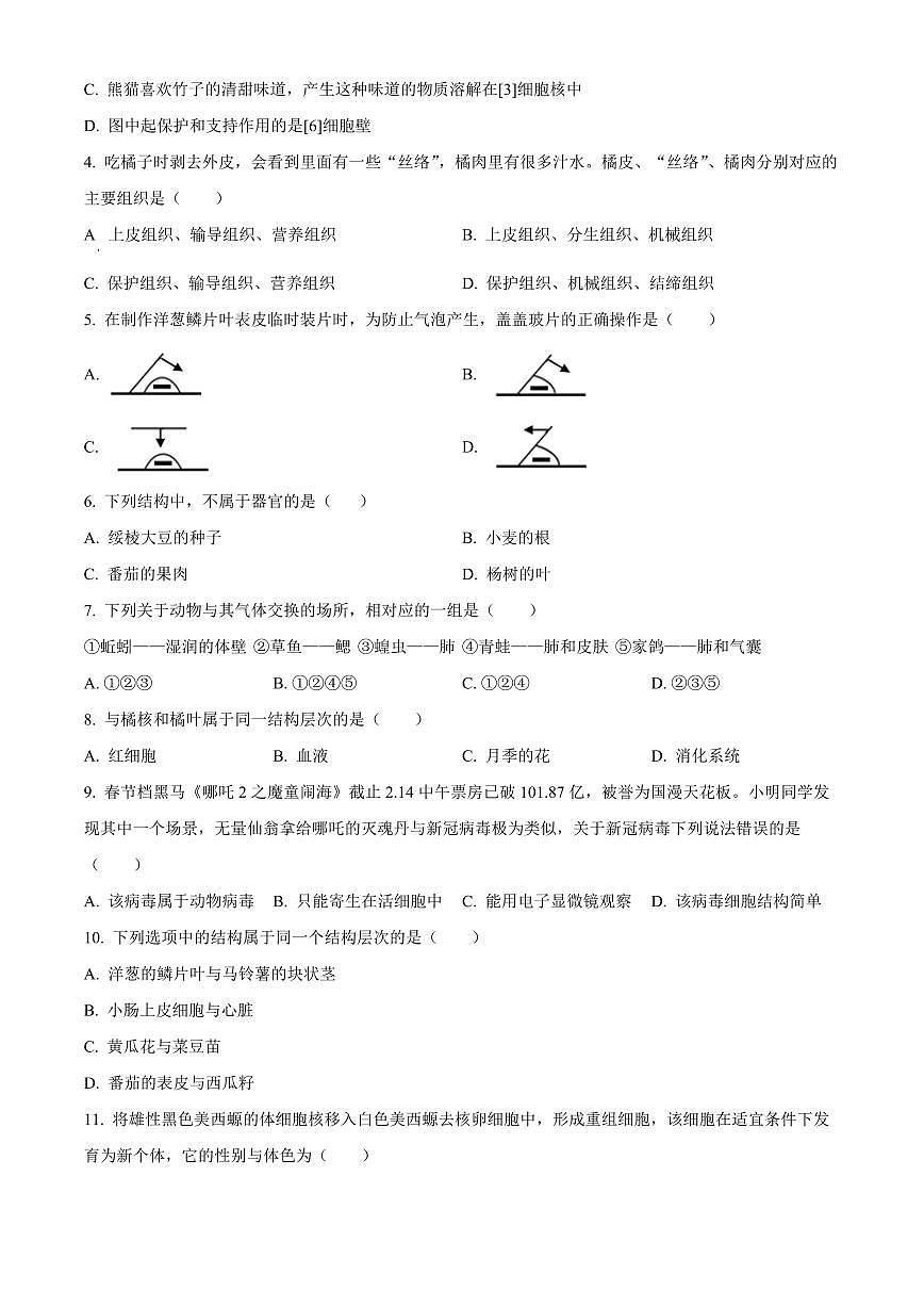 福建省莆田市秀屿区2025-2026学年七年级上学期期末生物学试题（原卷+解析）第2页