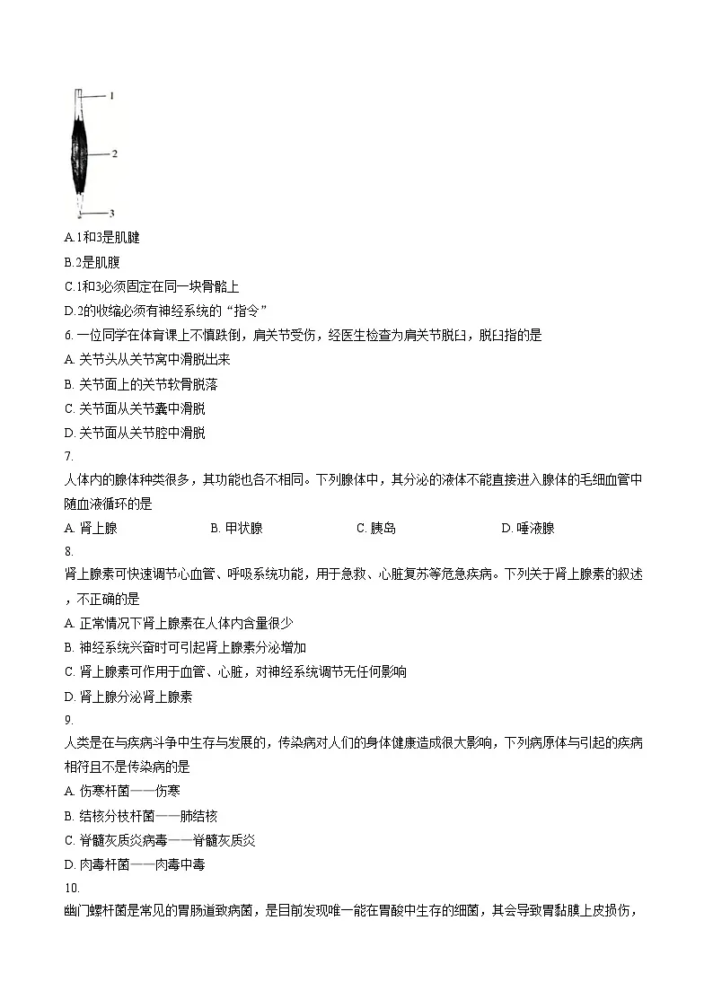 河南许昌市禹州市2025__2026学年八年级上学期生物期末试卷（文字版，含答案）第2页