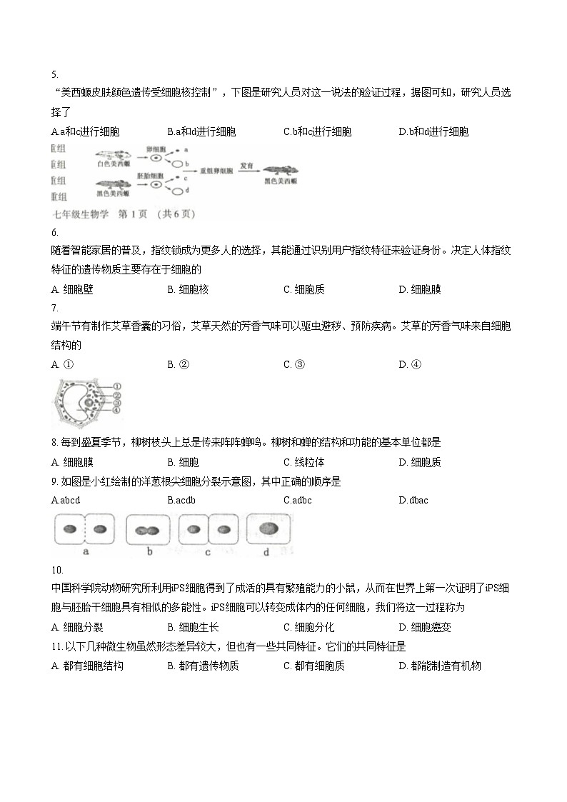 河南洛阳市嵩县2025—2026学年第一学期期末考试七年级生物试卷（文字版，含答案）第2页
