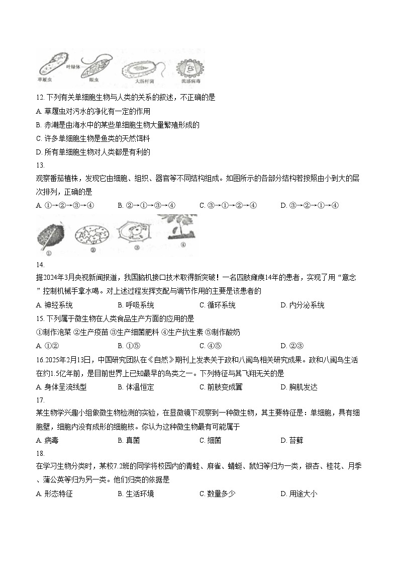 河南洛阳市嵩县2025—2026学年第一学期期末考试七年级生物试卷（文字版，含答案）第3页