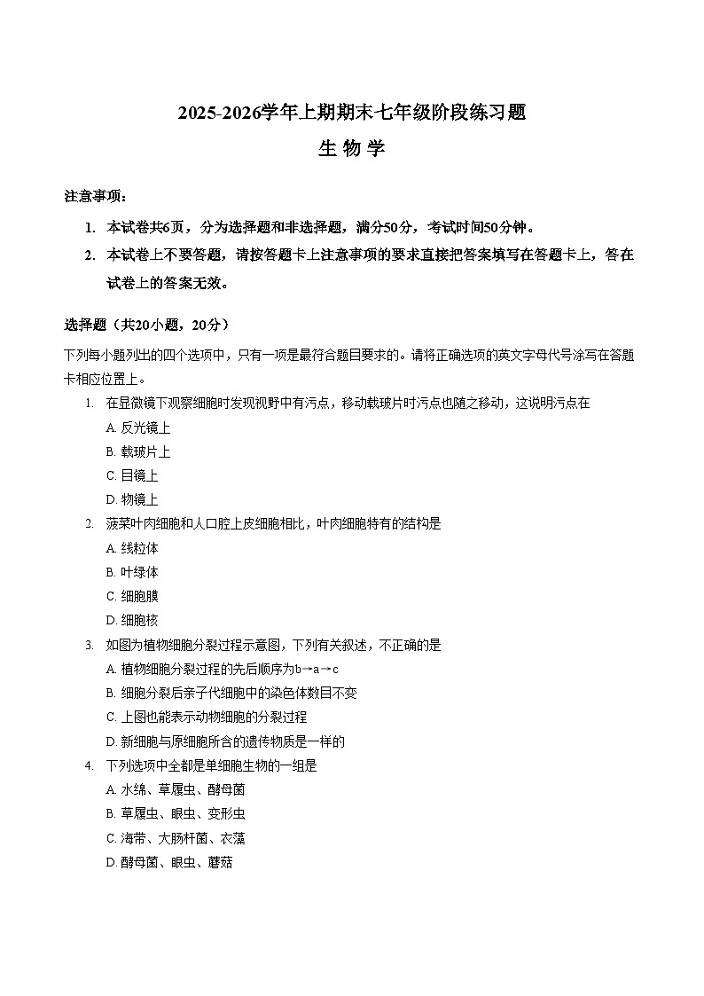河南周口市西华县2025_2026学年上学期七年级生物期末考试（文字版，含答案）第1页