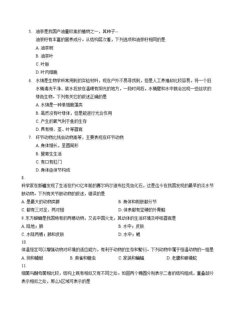 河南周口市西华县2025_2026学年上学期七年级生物期末考试（文字版，含答案）第2页