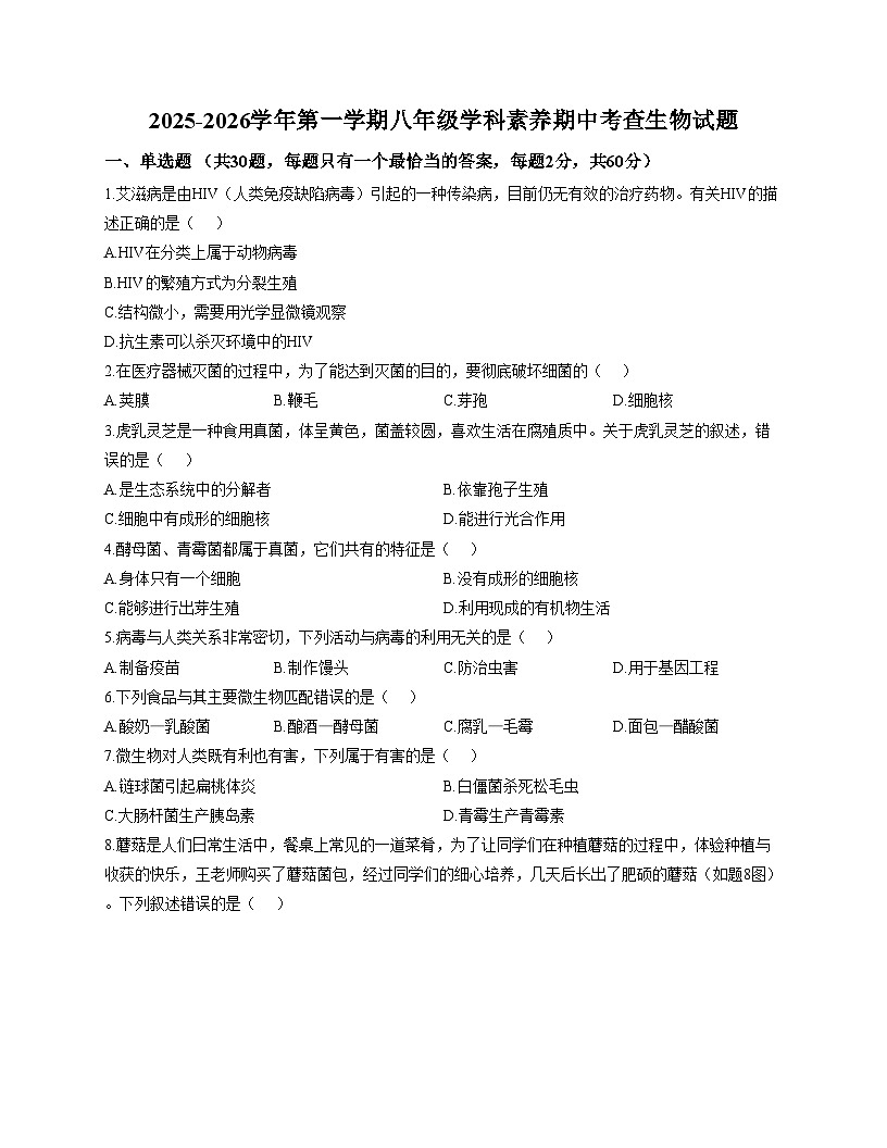 广东省惠州市惠东县2025_2026学年八年级上学期11月期中考试生物试卷（文字版，含答案）第1页