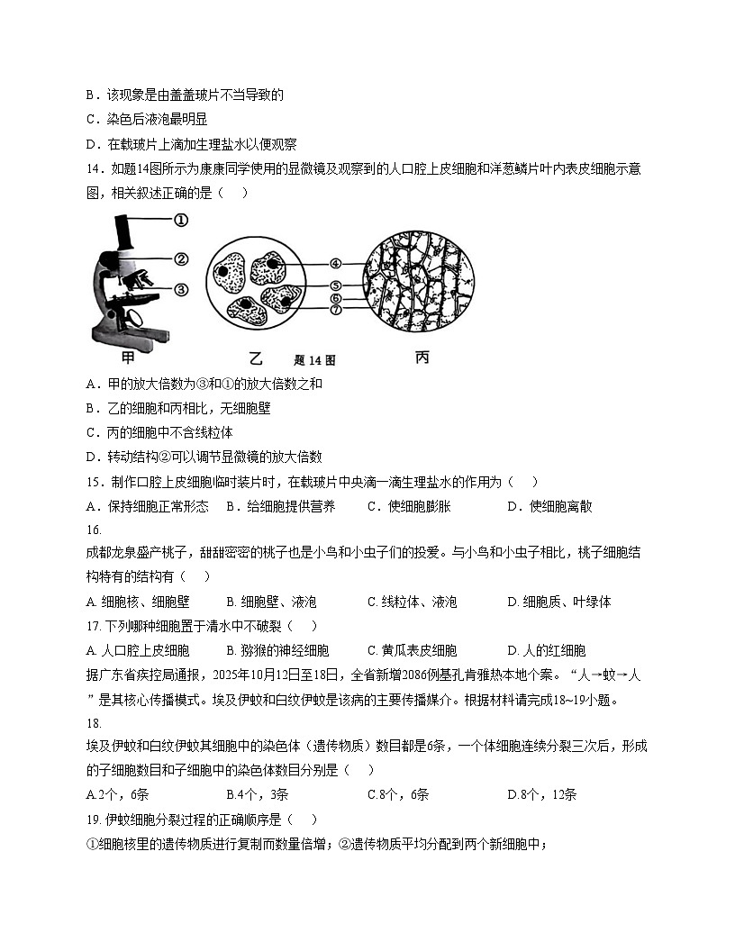 广东省惠州市惠东县2025_2026学年七年级上学期期中考试生物试卷（文字版，含答案）第3页