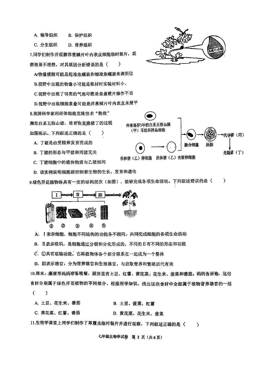 河南省郑州市高新区八一中学2025-2026学年上学期七年级期末调研生物试卷第2页