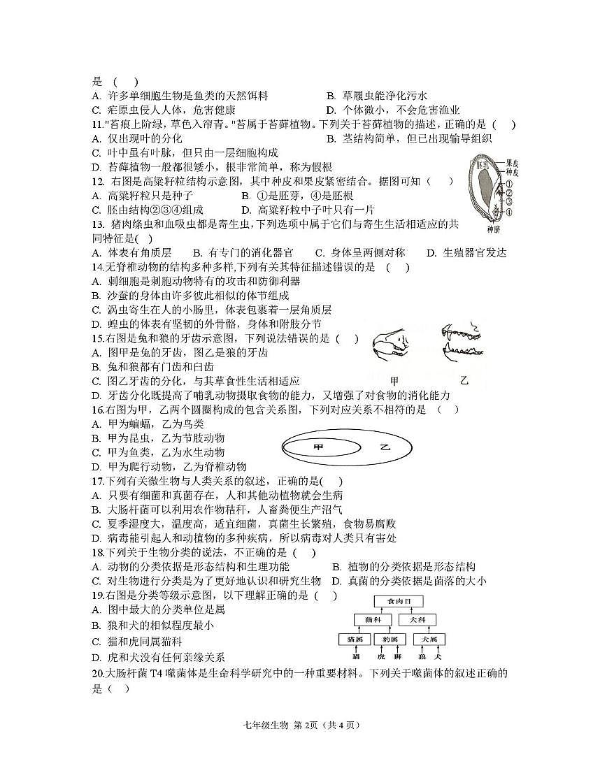 河南信阳市光山县2025-2026学年上学期期末调研考试七年级生物第2页