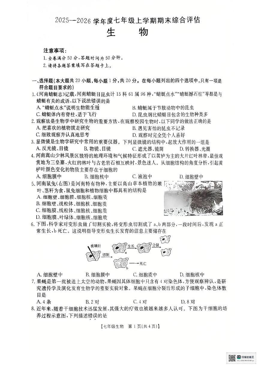 河南永城市2025-2026学年度七年级上学期期末综合评估生物试卷第1页