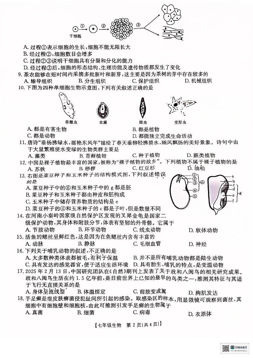 河南永城市2025-2026学年度七年级上学期期末综合评估生物试卷第2页