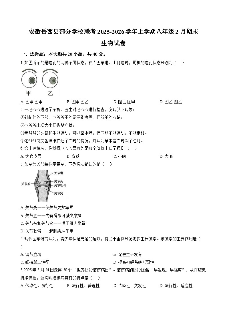 安徽省安庆市岳西县部分学校联考2025-2026学年八年级上学期2月期末生物学试题含答案第1页