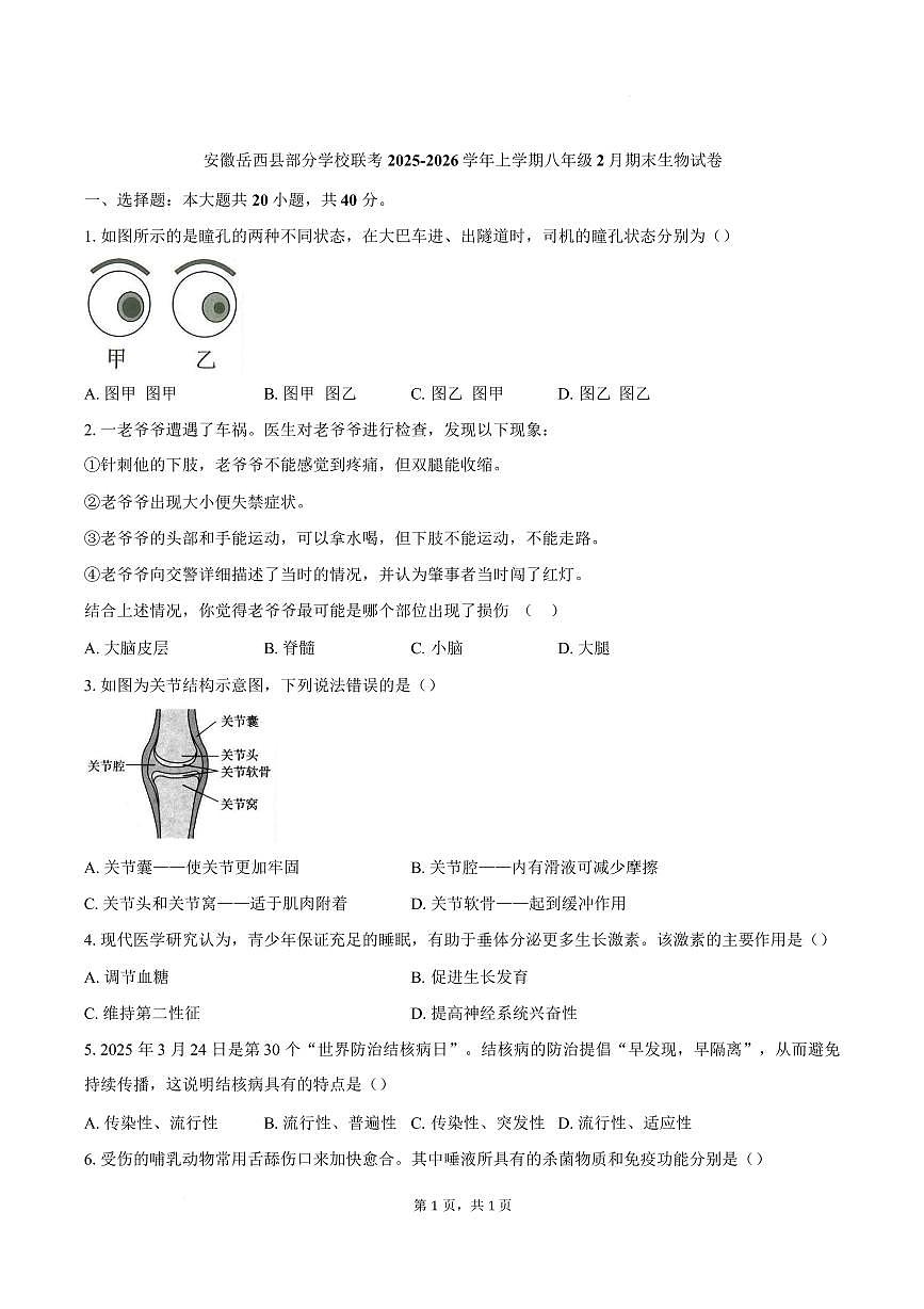 安徽省安庆市岳西县部分学校联考2025-2026学年八年级上学期2月期末生物试题含答案第1页