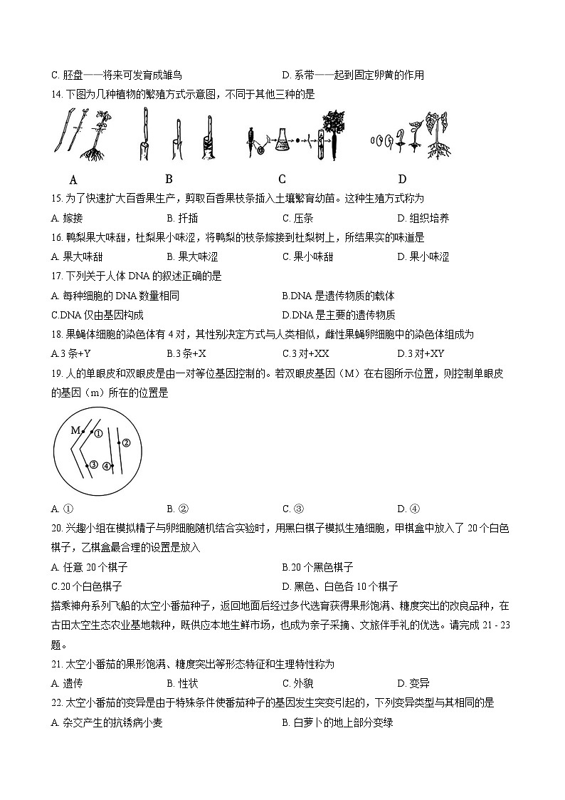 2025-2026学年福建省龙岩市八年级上学期期末质量监测生物学试卷含答案第3页