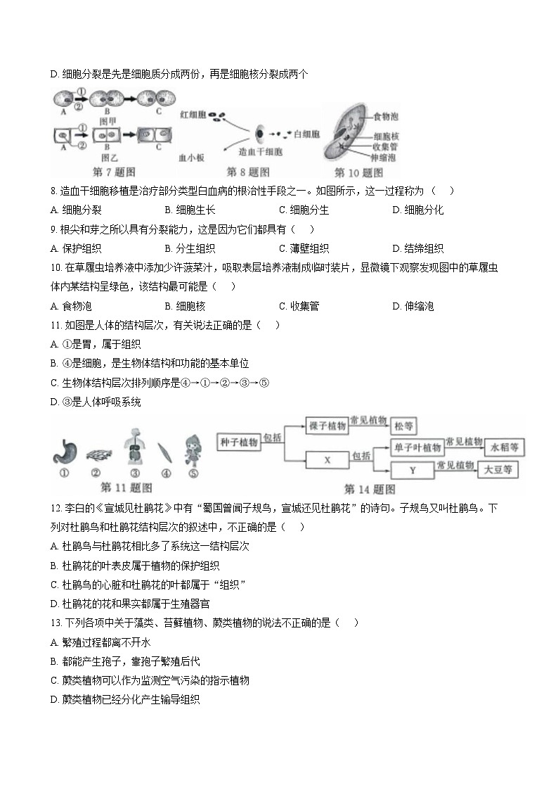 安徽滁州市凤阳县2025-2026学年第一学期期末检测七年级生物试卷第2页