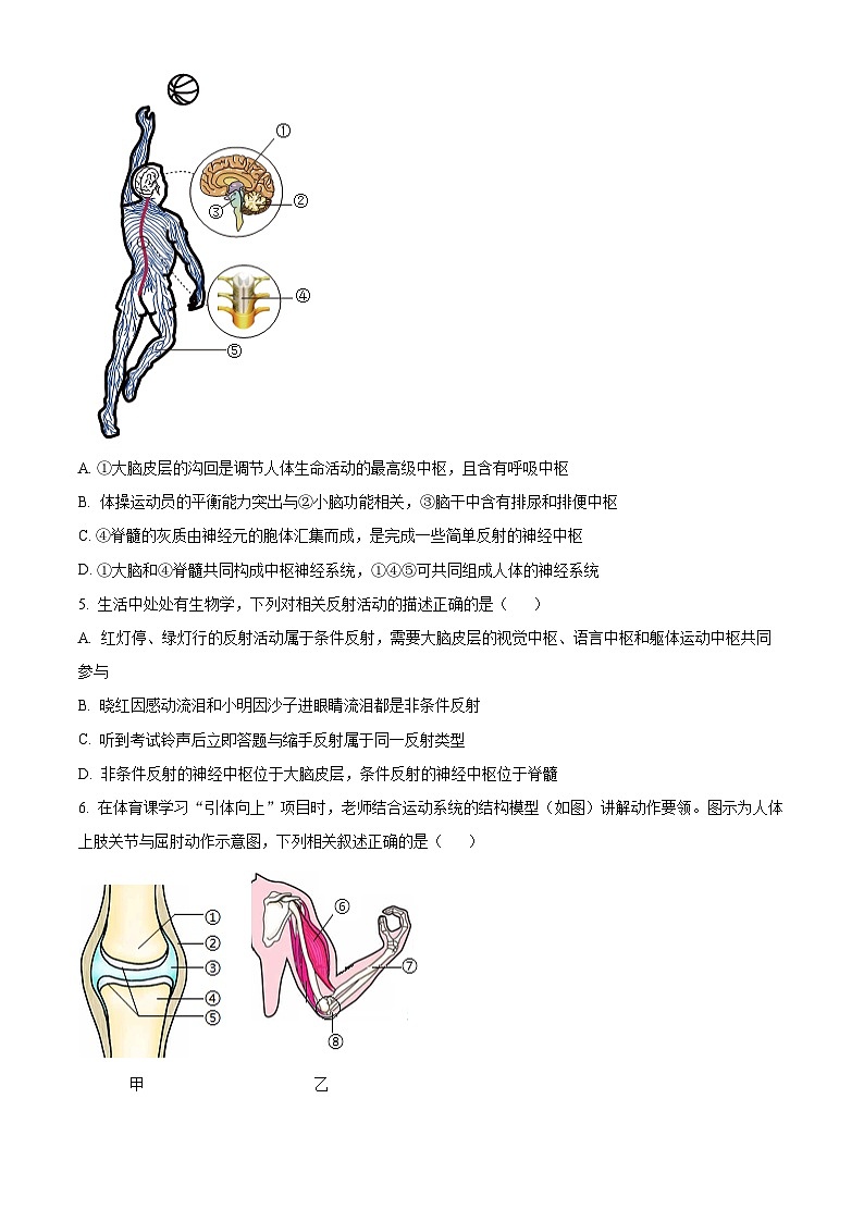 安徽省合肥市庐江县2025-2026学年八年级上学期期末生物学试题A（原卷+解析）第2页
