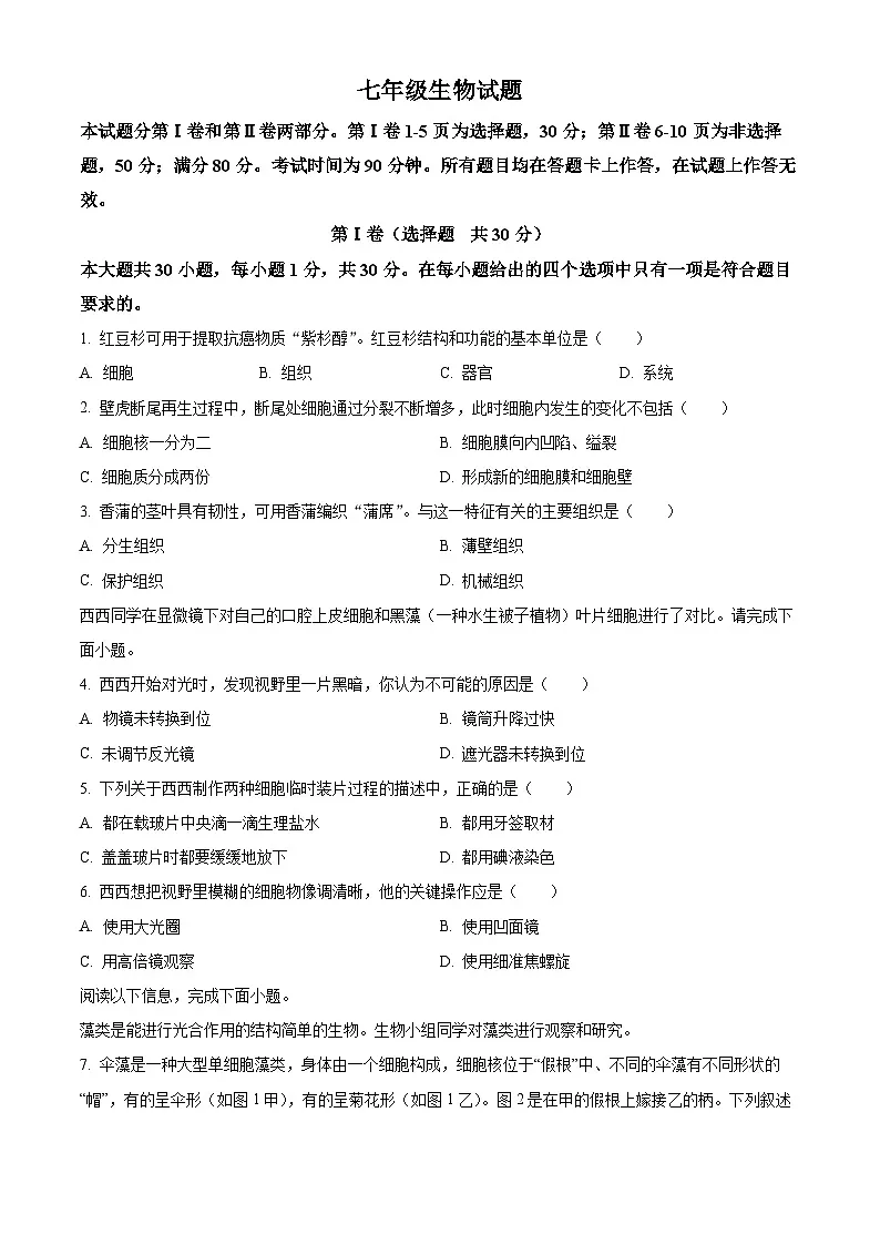 山东省青岛市崂山区2025-2026学年七年级上学期期末生物学试题（原卷+解析）第1页