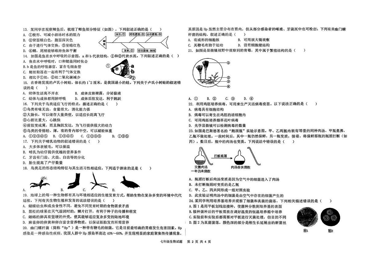 山东省德州市平原县2025-2026学年第一学期期末学业水平检测七年级生物试题第2页