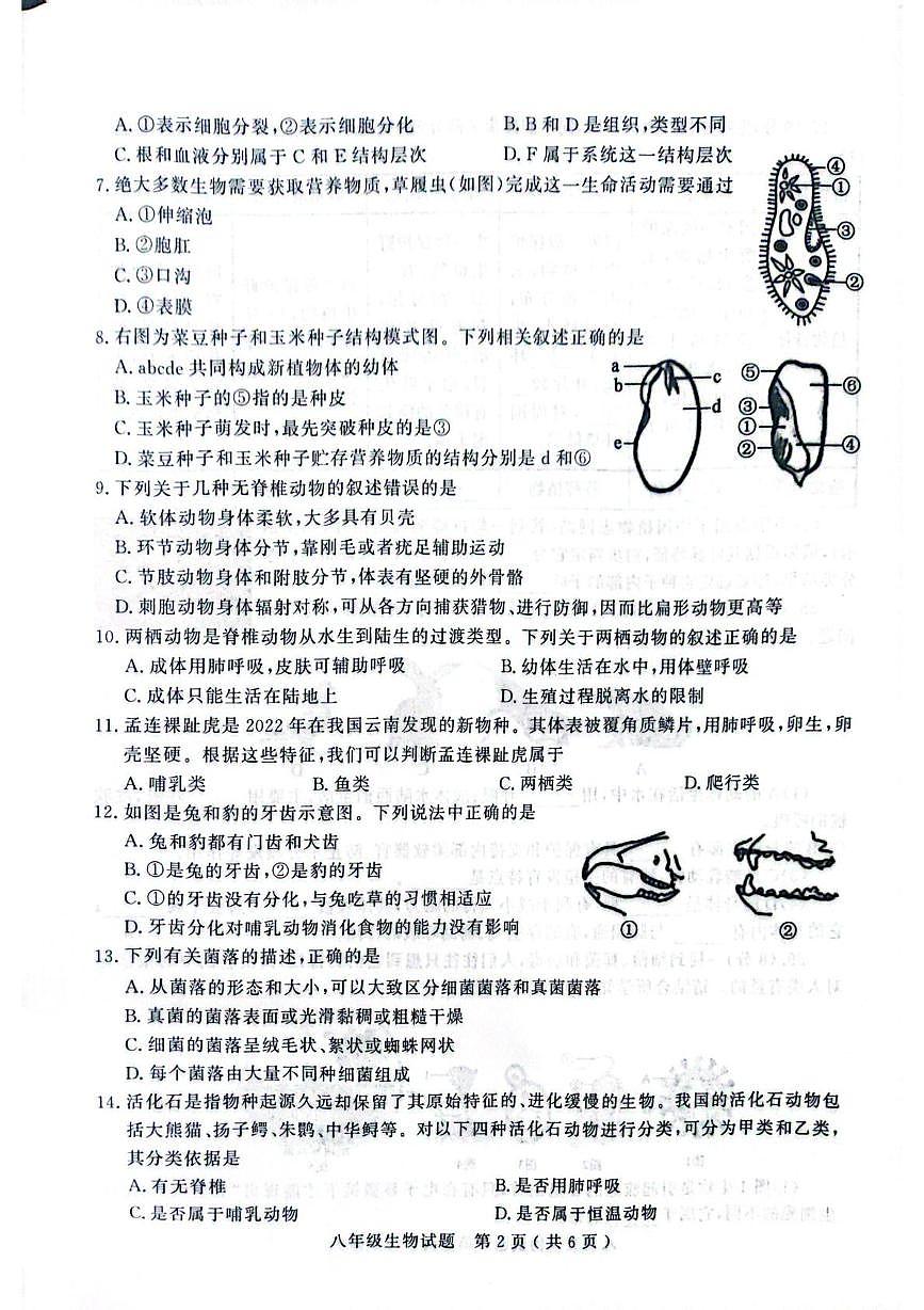 山东聊城市2025-2026学年第一学期期末学业水平检测八年级生物试题第2页
