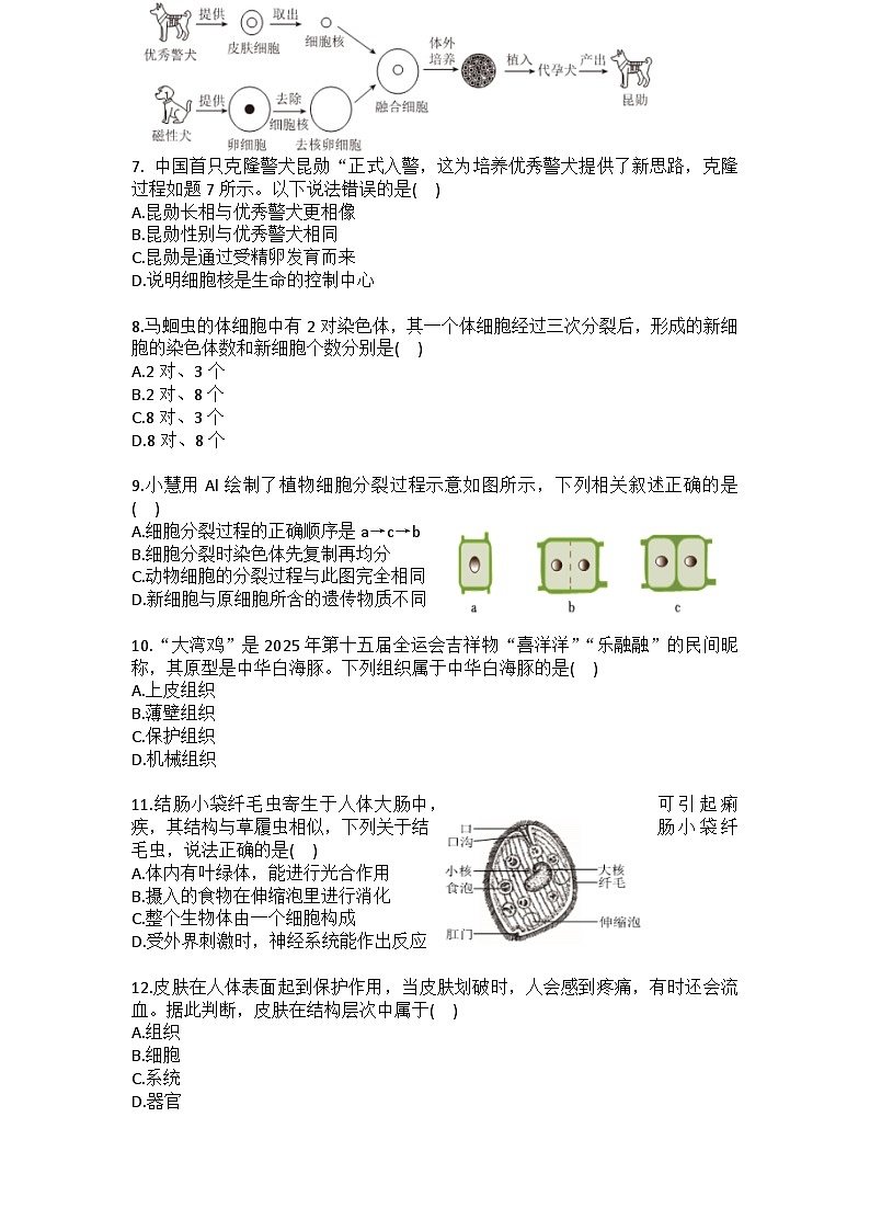 2025-2026学年广东省佛山市南海区七年级（上）期末生物试卷（含答案）第2页