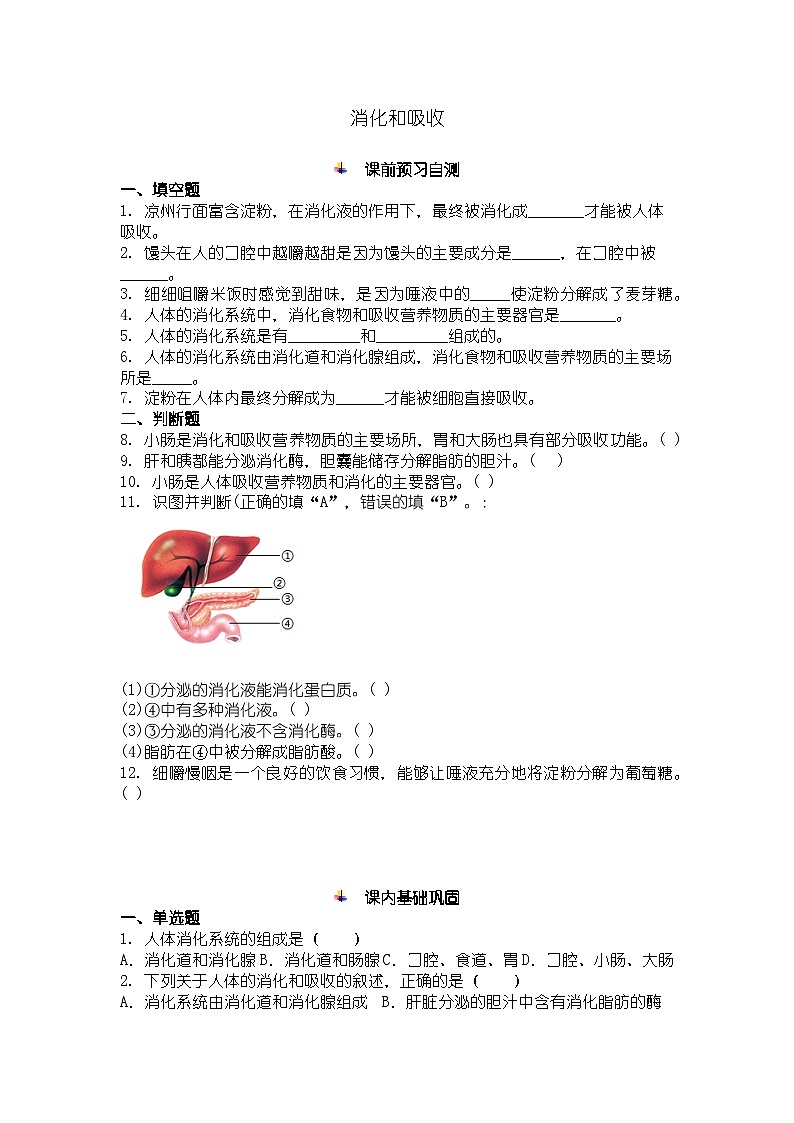 人教版七年级下册生物学消化和吸收同步练习及答案第1页
