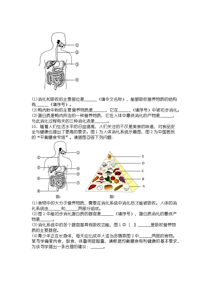 人教版七年级下册生物学消化和吸收同步练习及答案第3页