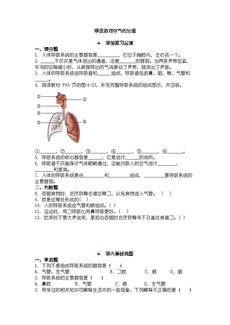 人教版七年级下册生物学呼吸道对空气的处理同步练习及答案第1页