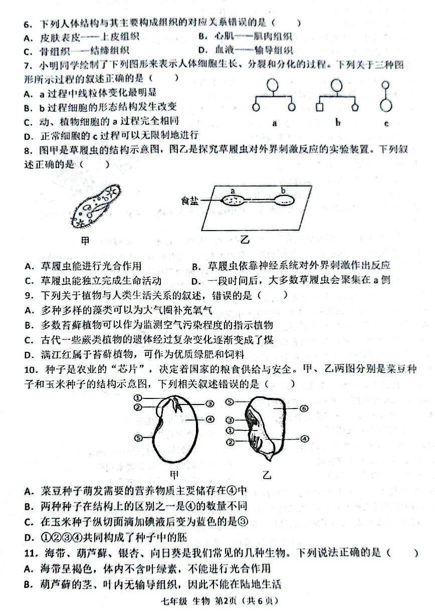 河南省实验中学2025-2026七上期末生物试题及答案第2页