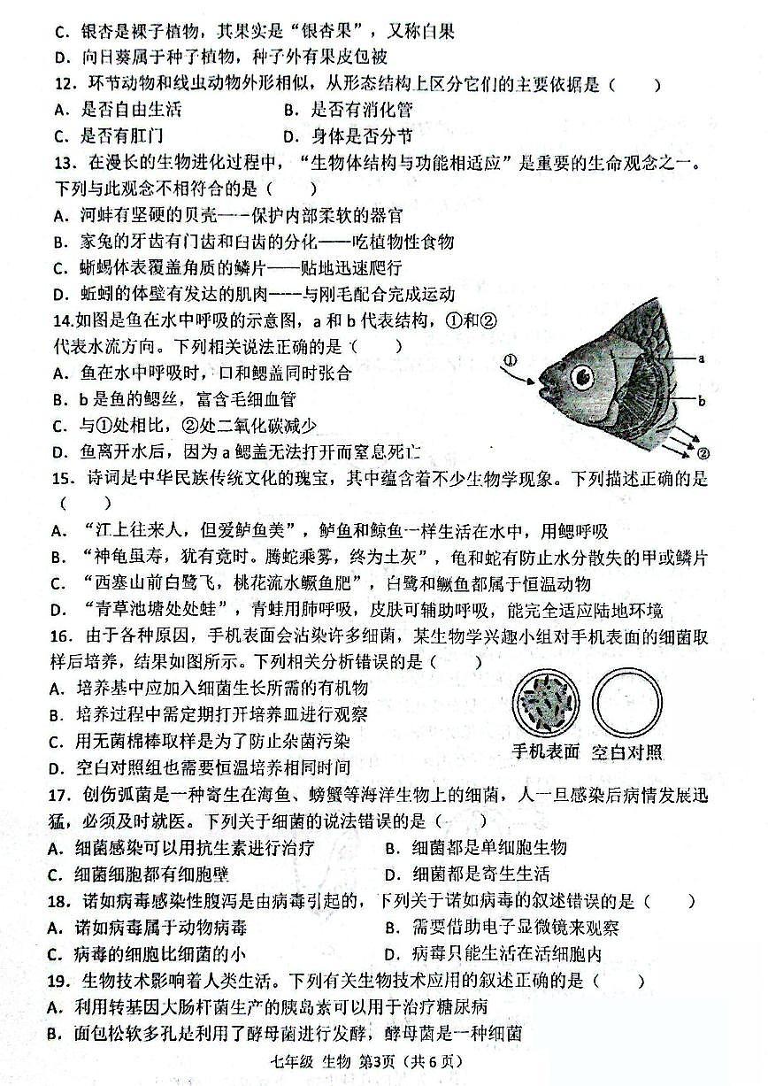 河南省实验中学2025-2026七上期末生物试题及答案第3页