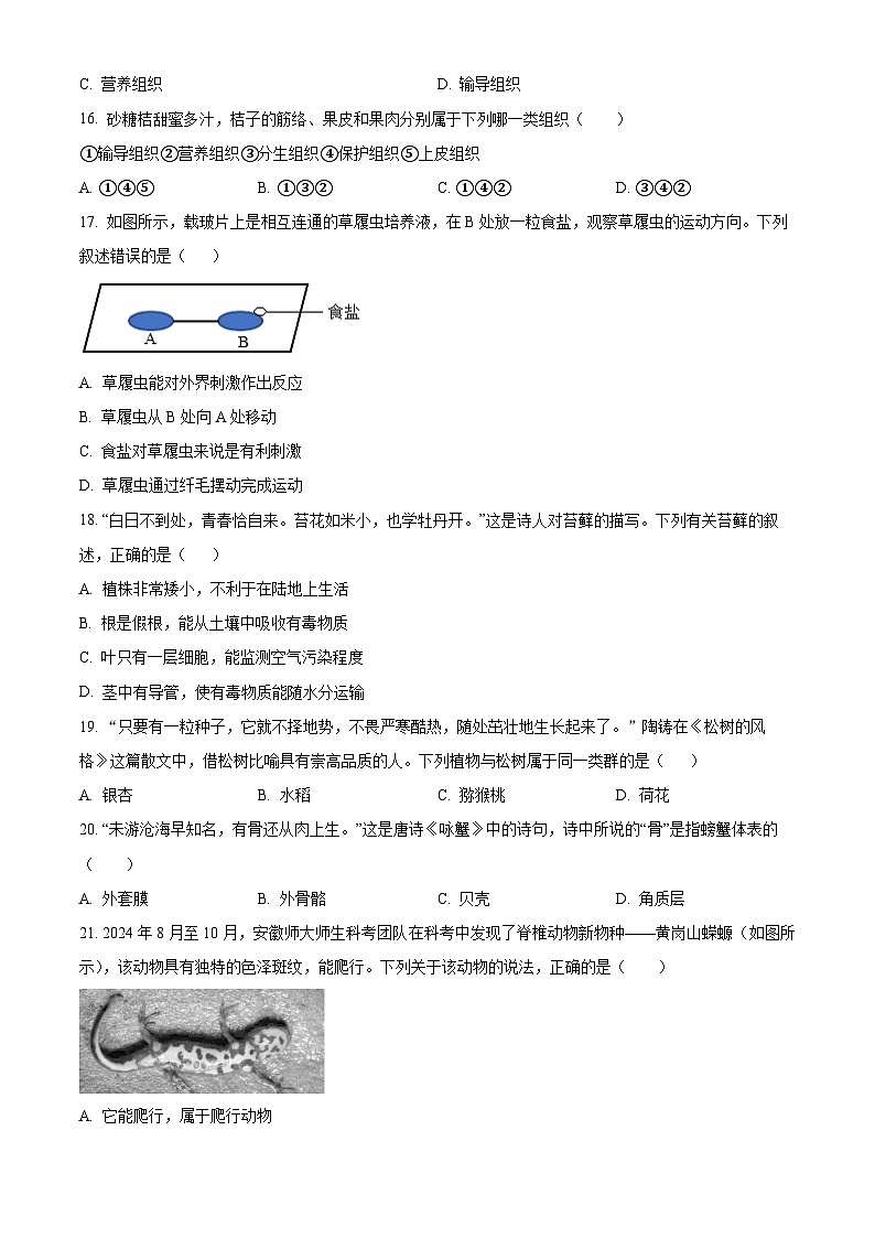 安徽六安市舒城县2025-2026学年度第一学期期末质量监测七年级生物试卷（试卷+解析）第3页