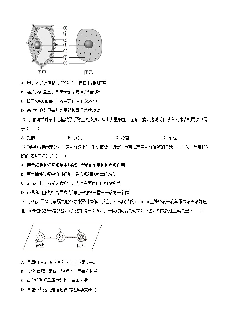 安徽省池州市青阳县2025-2026学年七年级上学期期末生物学试题（试卷+解析）第3页