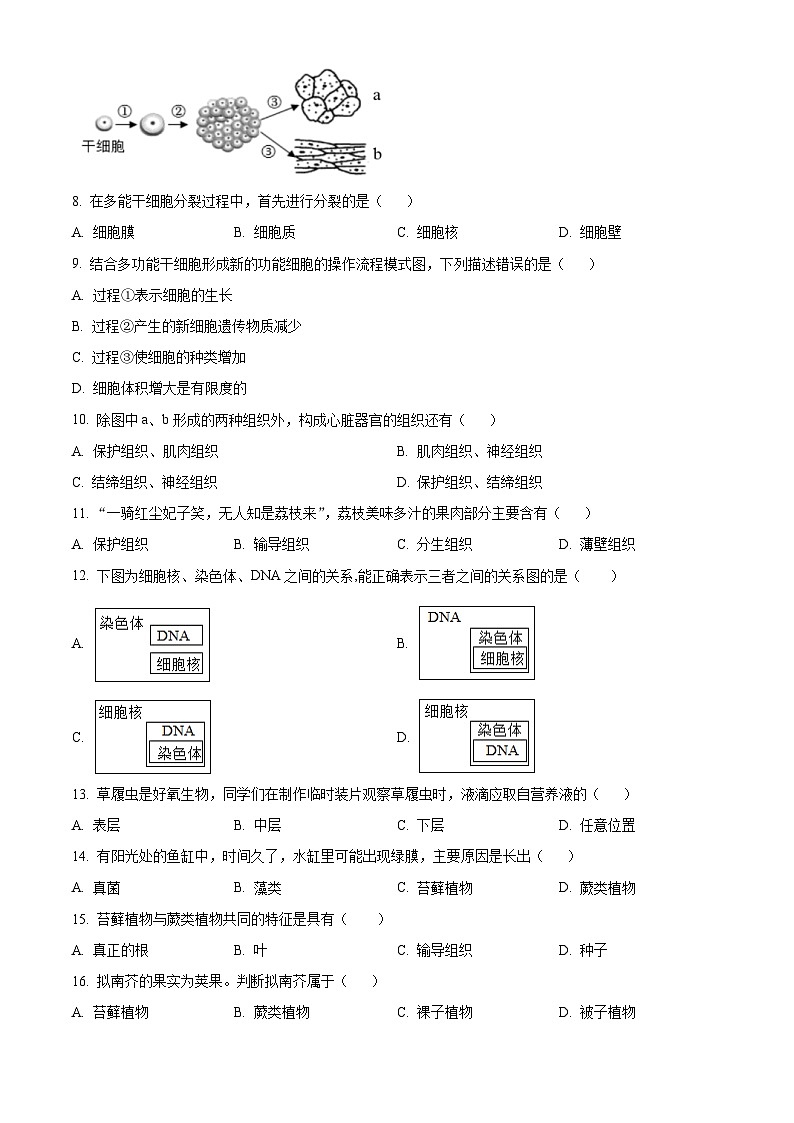 福建省泉州市泉港区2025-2026学年七年级上学期期末生物学试题（试卷+解析）第2页