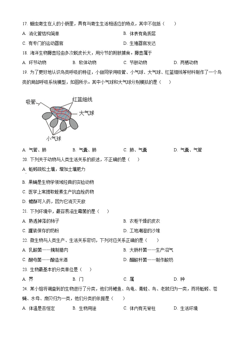 福建省泉州市泉港区2025-2026学年七年级上学期期末生物学试题（试卷+解析）第3页