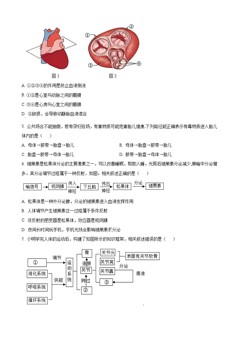 江苏省南通市海安市2025-2026学年八年级上学期期末生物学试题（试卷+解析）第2页