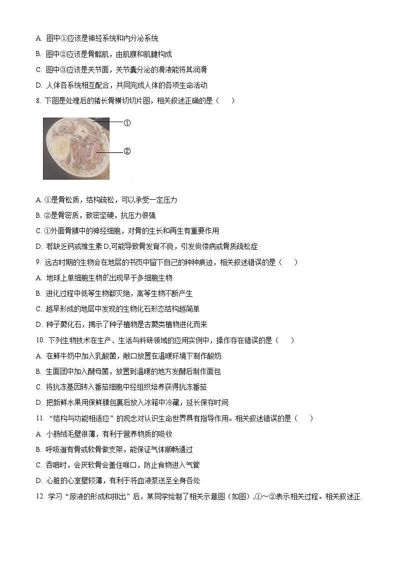 江苏省南通市海安市2025-2026学年八年级上学期期末生物学试题（试卷+解析）第3页