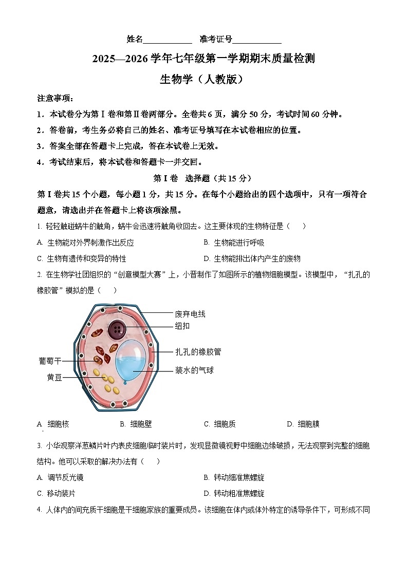 山西省忻州市神池县2025-2026学年七年级上学期期末生物学试题（试卷+解析）第1页