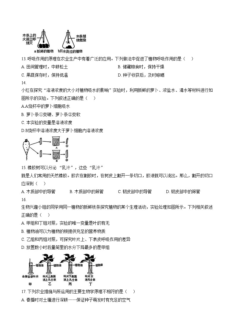 河南省郑州市河南大学附中2025_2026学年上学期期末考试七年级生物试题（扫描版，含答案）第3页