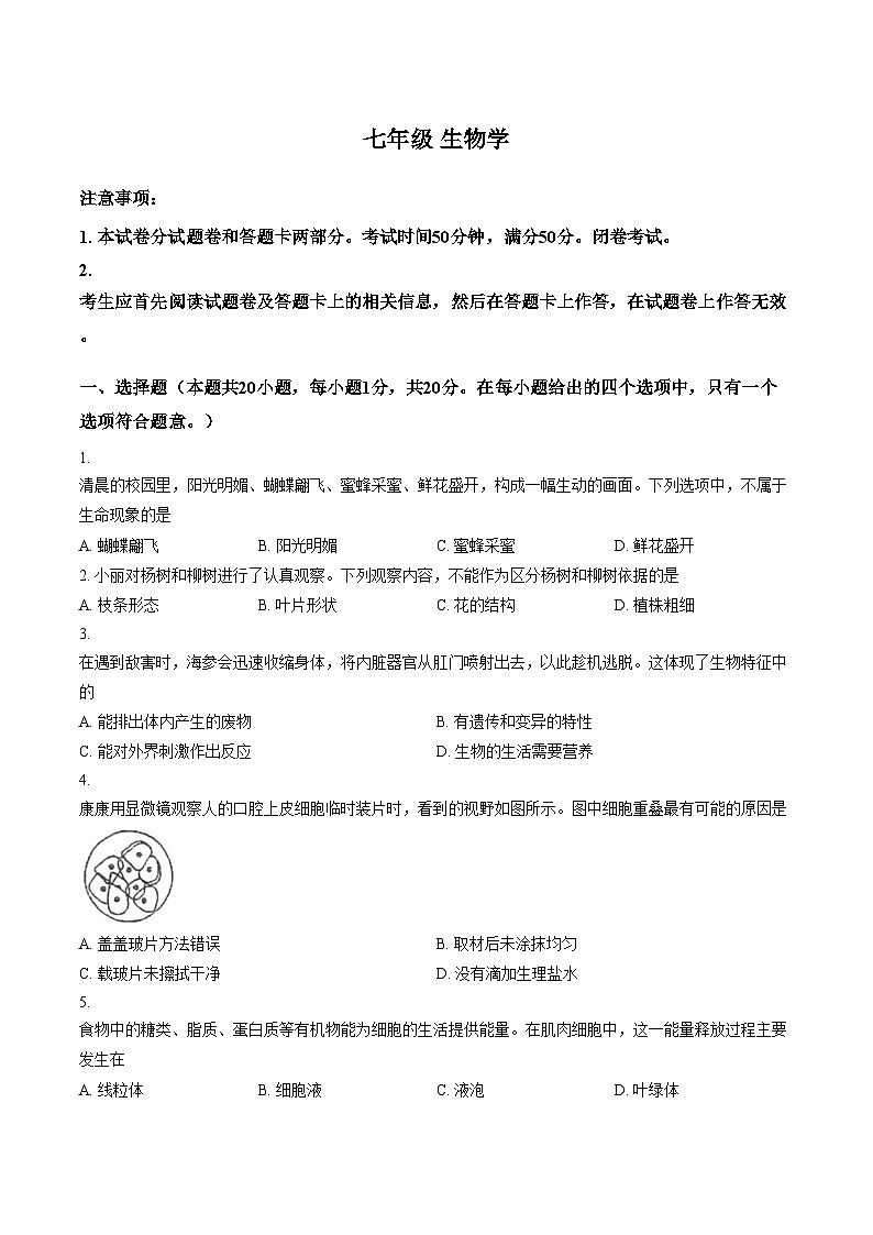 河南省郑州市金水区第一中学2025_2026学年七年级上学期期末生物试卷（扫描版，含答案）第1页