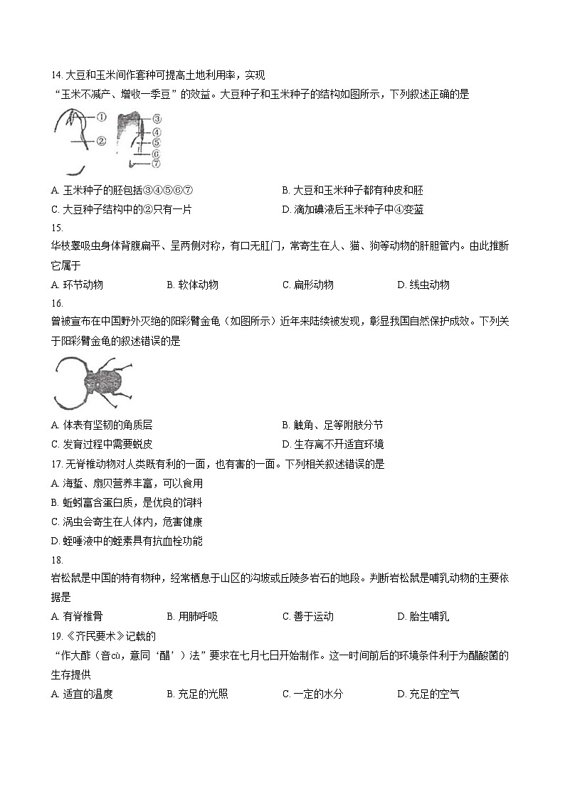 河南省郑州市金水区第一中学2025_2026学年七年级上学期期末生物试卷（扫描版，含答案）第3页
