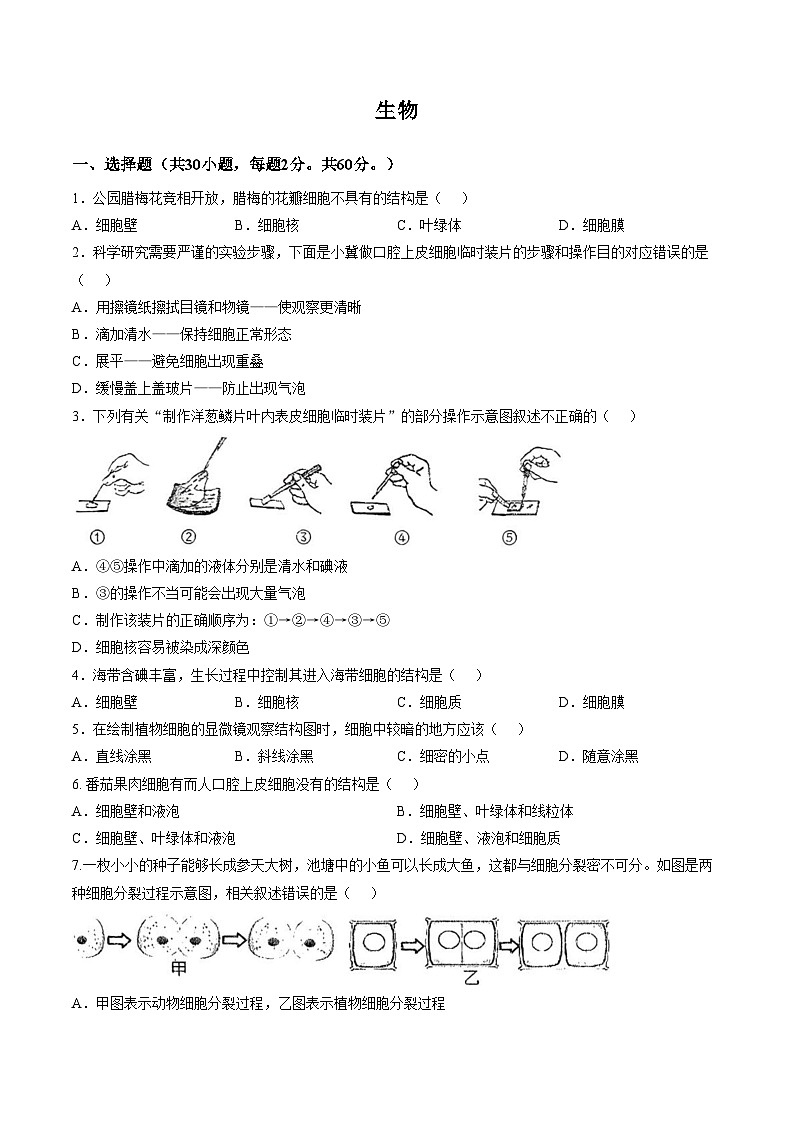 河北省石家庄第八十一中学2025_2026学年七年级上学期期末考试生物试卷 （扫描版，含答案）第1页