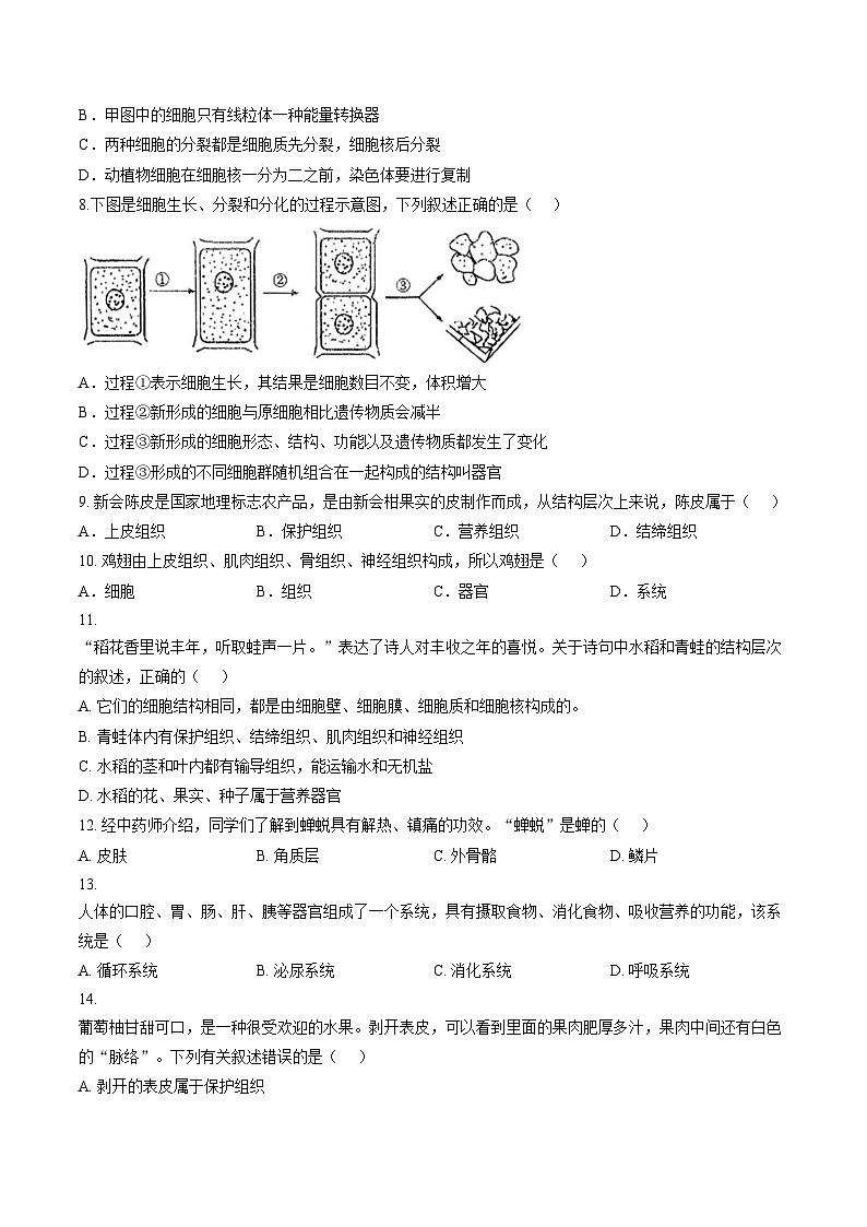 河北省石家庄第八十一中学2025_2026学年七年级上学期期末考试生物试卷 （扫描版，含答案）第2页