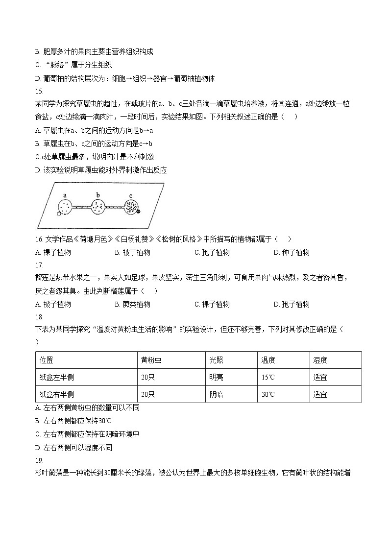 河北省石家庄第八十一中学2025_2026学年七年级上学期期末考试生物试卷 （扫描版，含答案）第3页