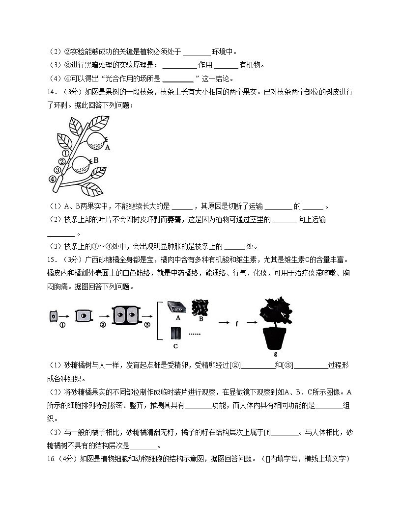 辽宁省铁岭市开原市2025_2026学年七年级上学期第三次月考生物试卷（文字版，含答案）第3页