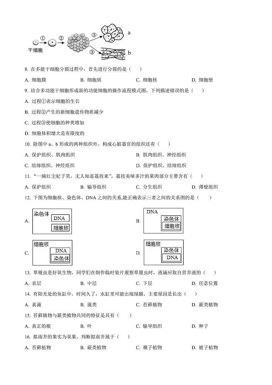 福建省泉州市泉港区2025-2026学年七年级上学期期末生物学试题（试卷+解析）第2页