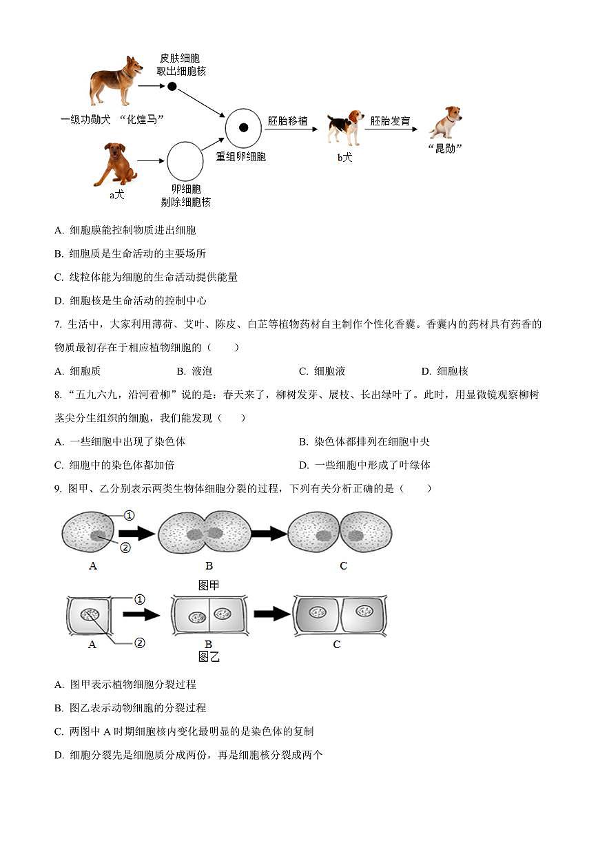 湖南常德市安乡县2025-2026学年七年级上学期期末质量监测生物试题（试卷+解析）第2页