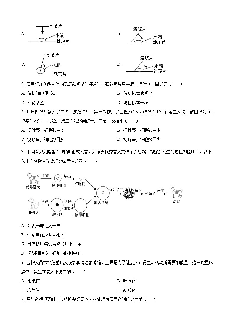 湖南省株洲市渌口区2025-2026学年七年级上学期期末生物学试题（试卷+解析）第2页