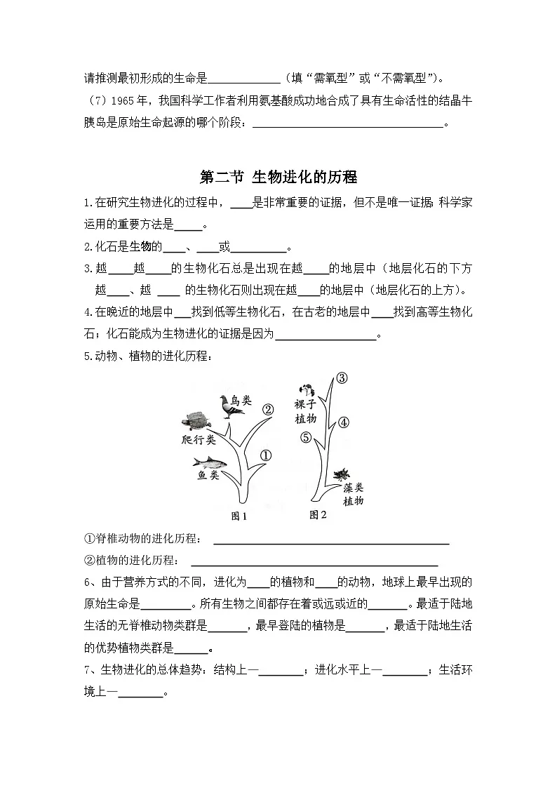 6.3生物的进化（学生版）第2页