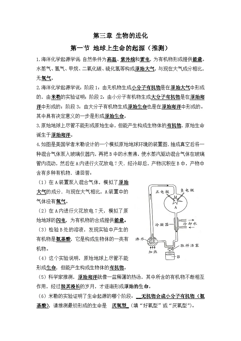 6.3生物的进化（教师版）第1页