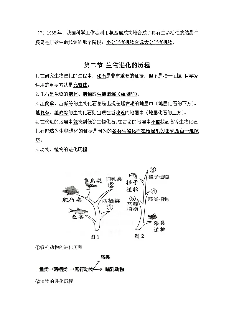 6.3生物的进化（教师版）第2页