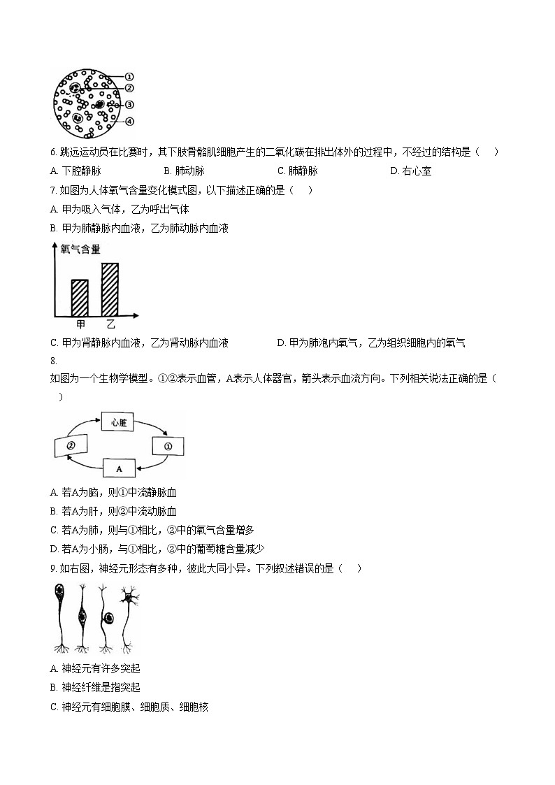 山东菏泽市牡丹区2025_2026学年上学期期末八年级生物试卷（文字版，含答案）第2页