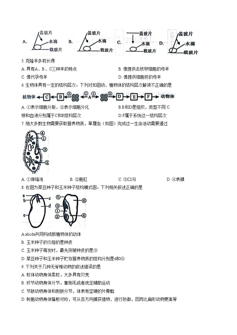 山东省聊城市2025_2026学年第一学期期末学业水平检测八年级生物试题（文字版，含答案）第2页