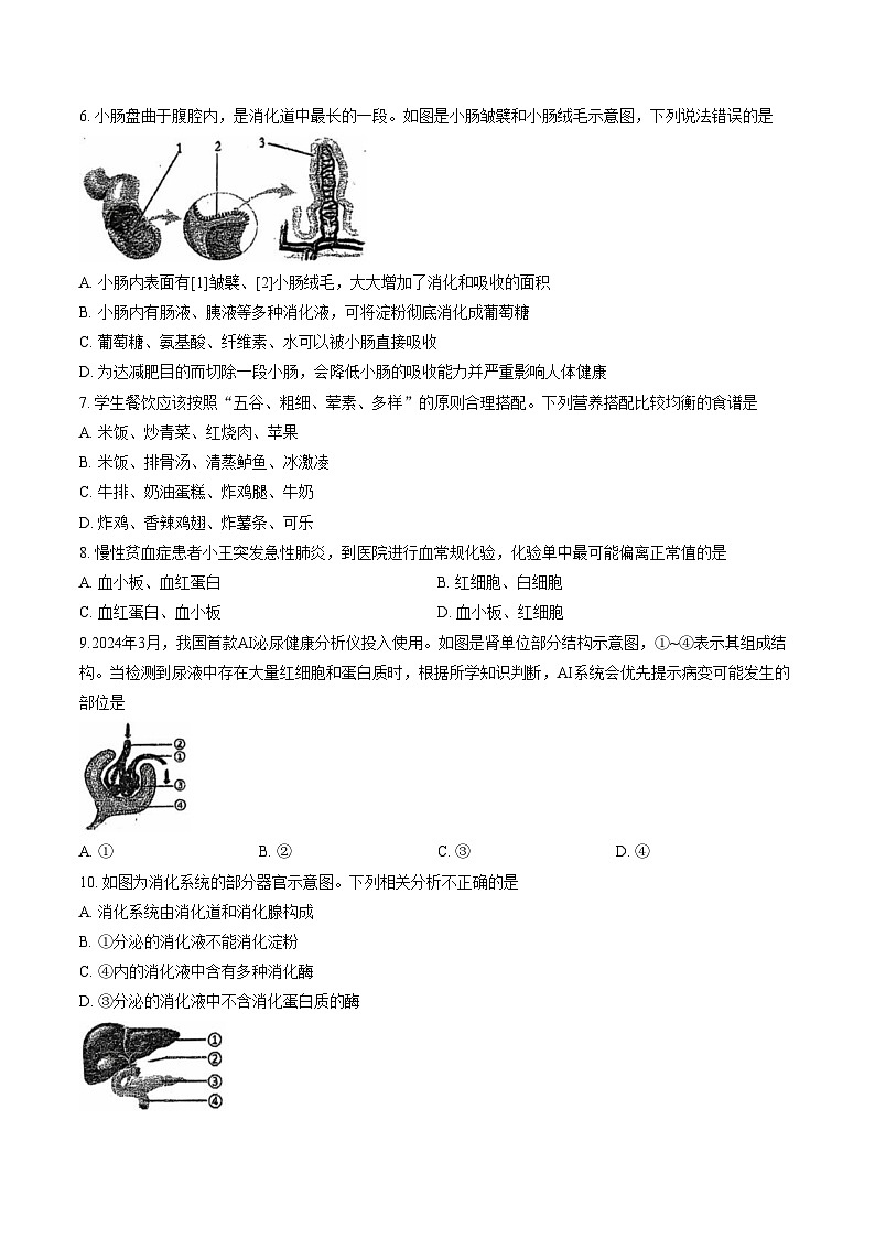 江苏泰州市靖江市2025_2026学年八年级上学期生物期末试卷（文字版，含答案）第2页